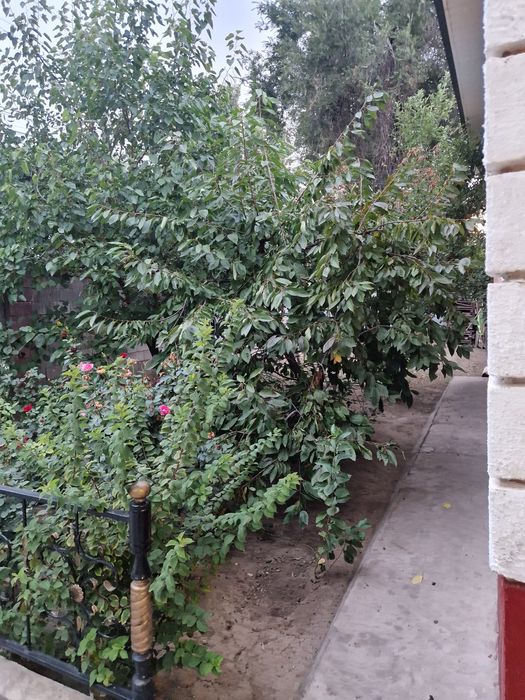 Дом  частный дом