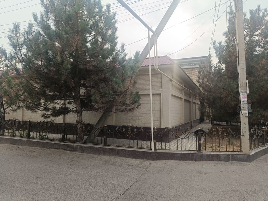 Ohunboboyv zamona tu'yhona orqasi 5 sotu