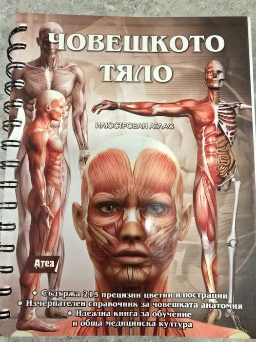 Анатомия на човека