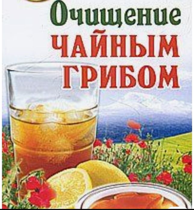 Продается Чайный гриб