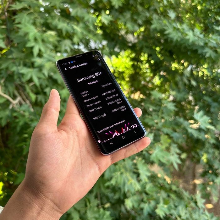Samsung Galaxy S9+ 256 Gb