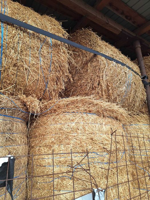 Baloti lucerna rotunzi 120x120si baloti dreptunghiulari