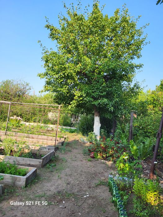 Продам дачу Мелиаратор