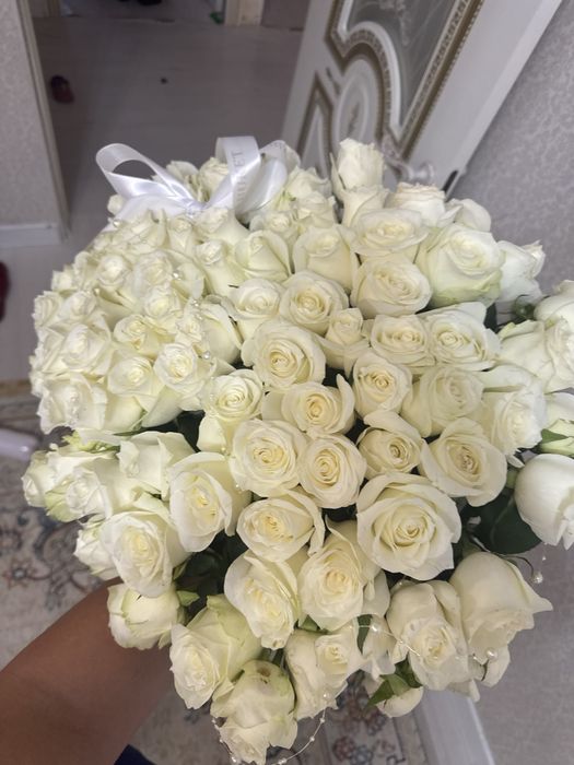 Роза роза роза р