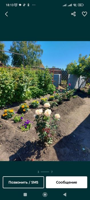 Продам дачу садовое товарищество Борки