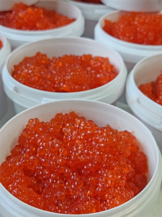 Икра 4 вида цена производителя.