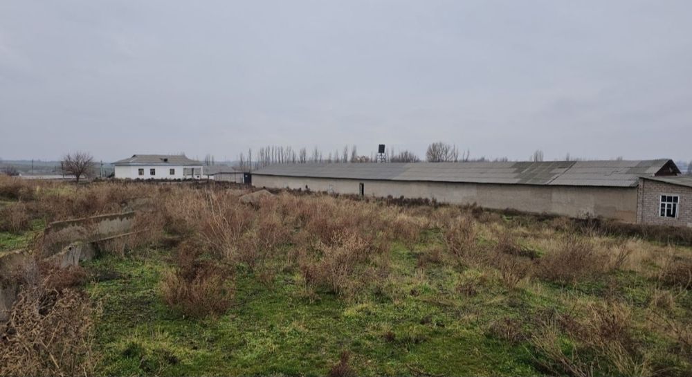 Прадажа каммерция