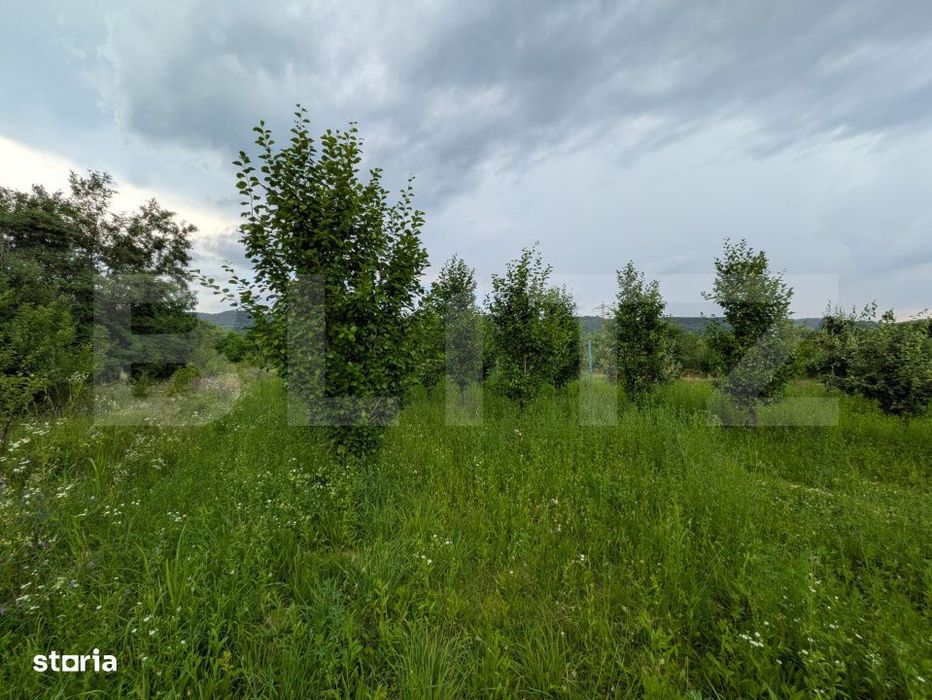 Vand teren intravilan, in Voinesti