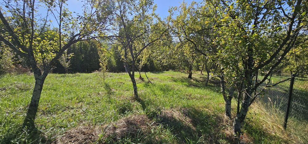 Teren de vanzare In Berislavesti - Calimanesti 4000mp
