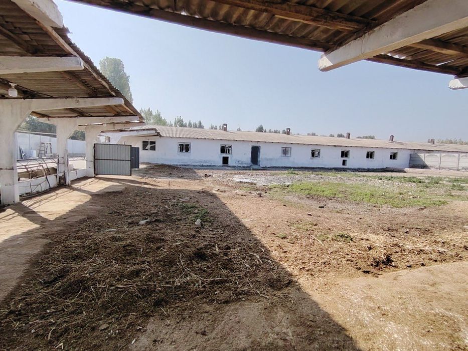 Ferma 50 sotixlik sotiladi