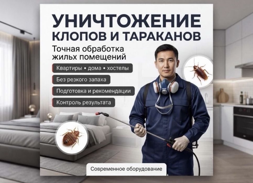 Дезинсекция помещений — клопы, тараканы, термиты