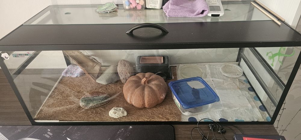 Продается Эублефар