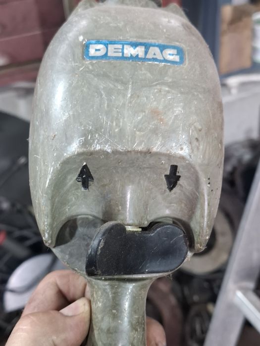 Macara Demag 250kg