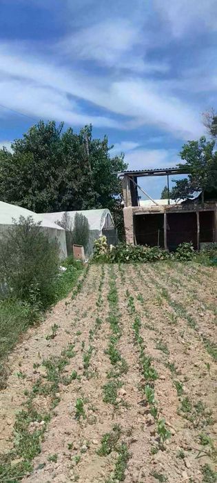 Уй 6 хона, 14 сотих,..