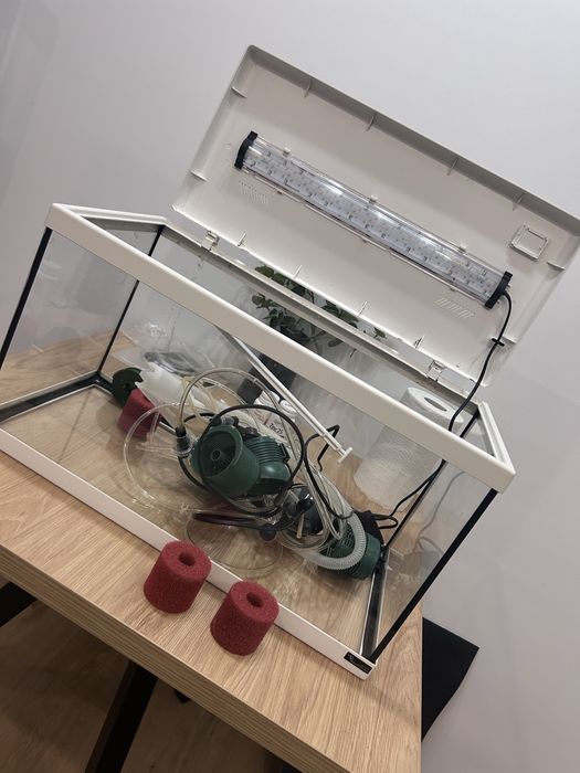 Acvariu  pentru pesti