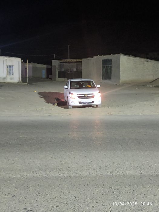 Assalomu alaykum hammaga koblt sotiladi