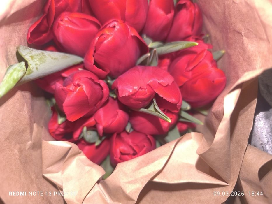 Тюльпаны оптом по 400