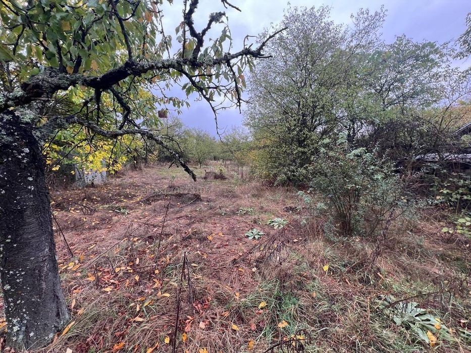 3 Дка Парцел с 2 Къщи във Вилна Зона на Казанлък "Старите Лозя"