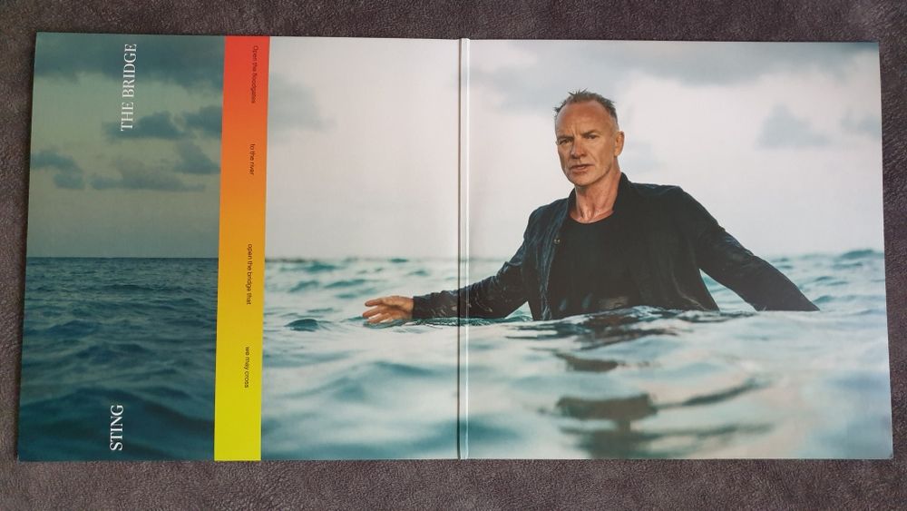 Виниловые пластинки.