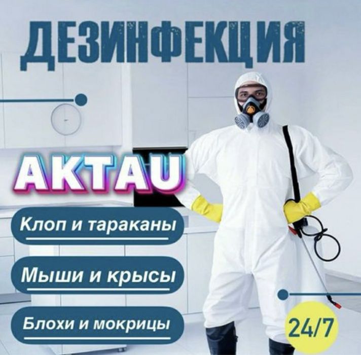 Дезинфекция Термиты Клопы Тараканы Кандала улау обработка от насекомых