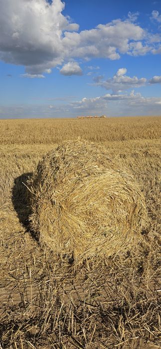 Продам солому ячменьку рулон шоп