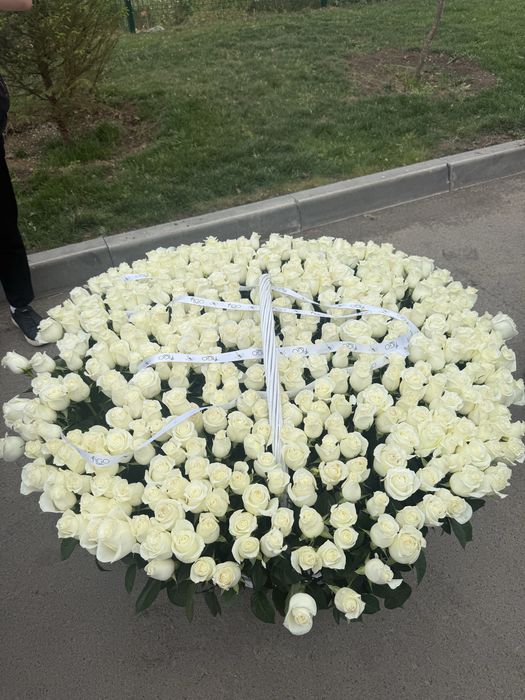 Цветы роза 505шт