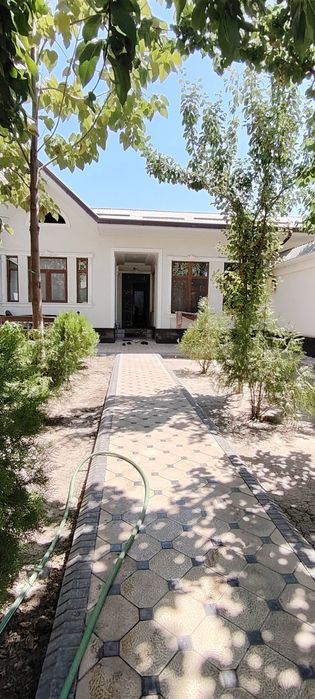 Янги Хаёт тумани