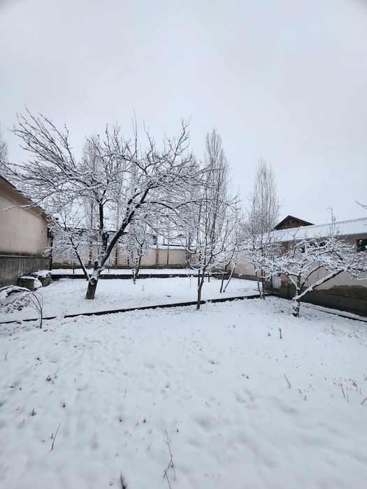 Yer sotiladi 7 sotokdan ortiq Angren markazidan