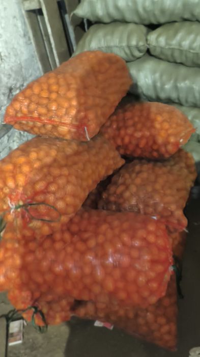 Картофель, картошка