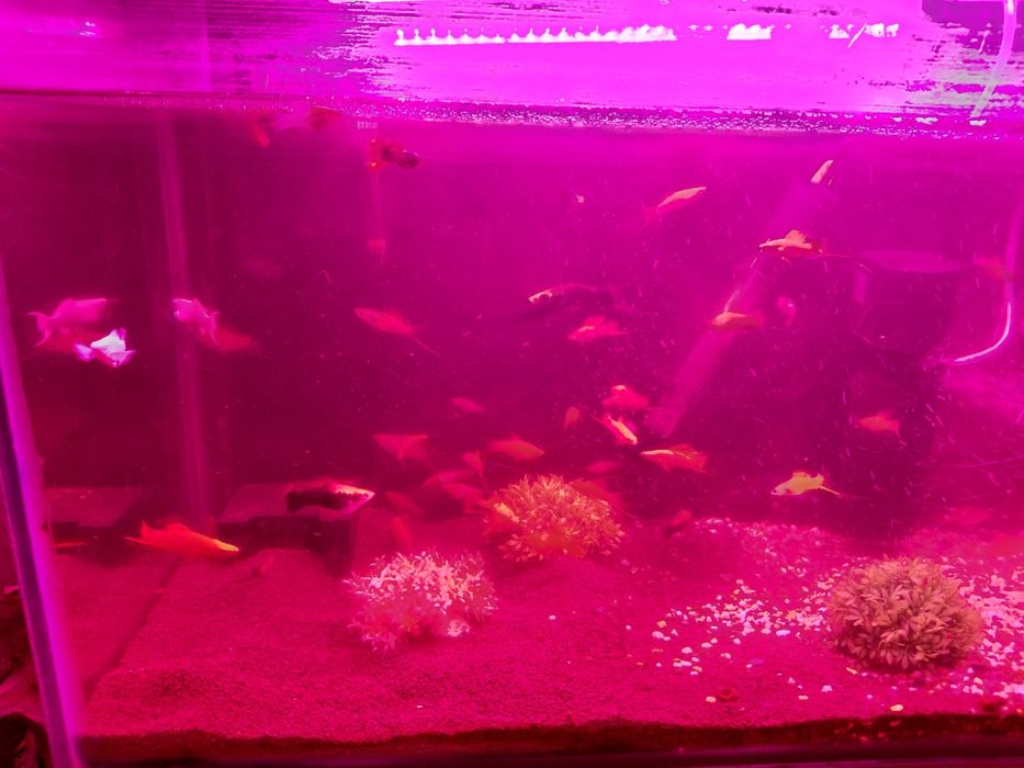 Аквариум 120 литр