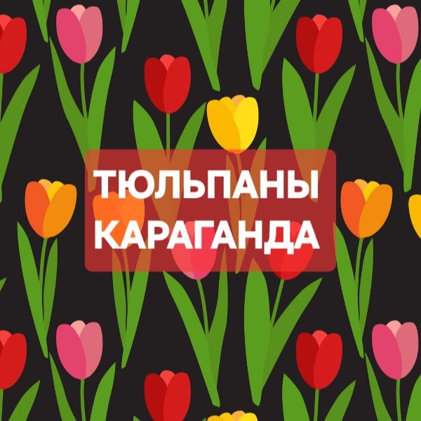 Оптом тюльпаны из Голландии.