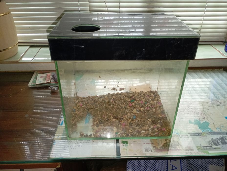 Аквариум не большой