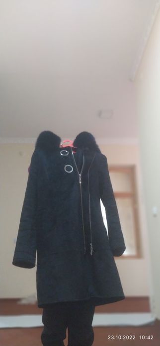 Палтола яхши йенги Холта