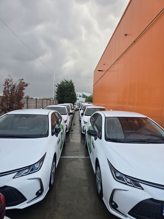 Închirieri Auto Toyota Corolla Hidrid pt Ridesharing
