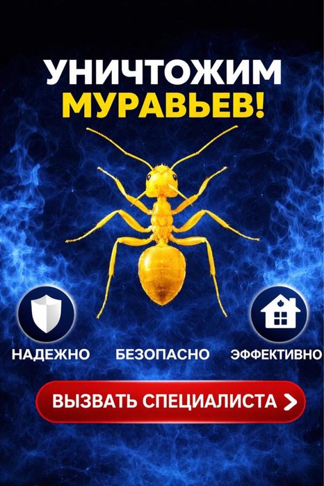 Дезинфекция в Семее | С лицензией