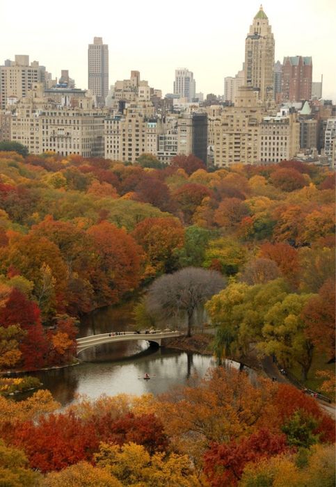 Репетитор по английскому языку