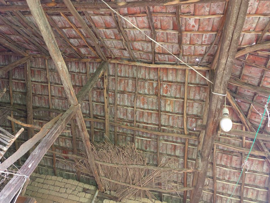 Продава се Къща в с. Иванча, Област Велико Търново - 2500 кв.м за 9 €/кв.м - Снимка #2