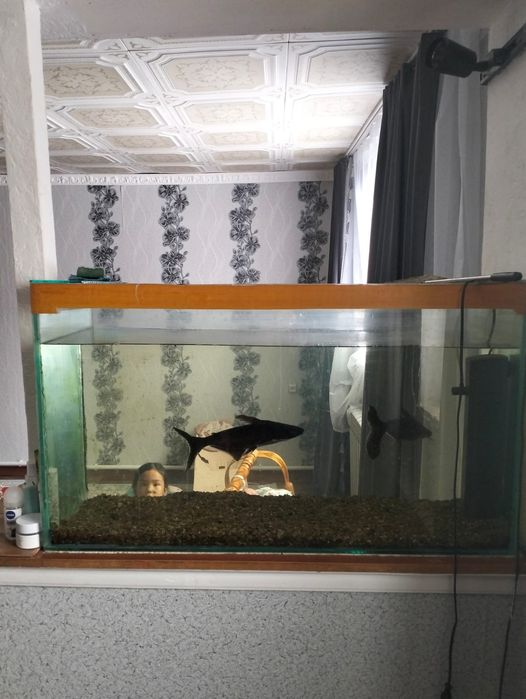 Аквариум сатылады