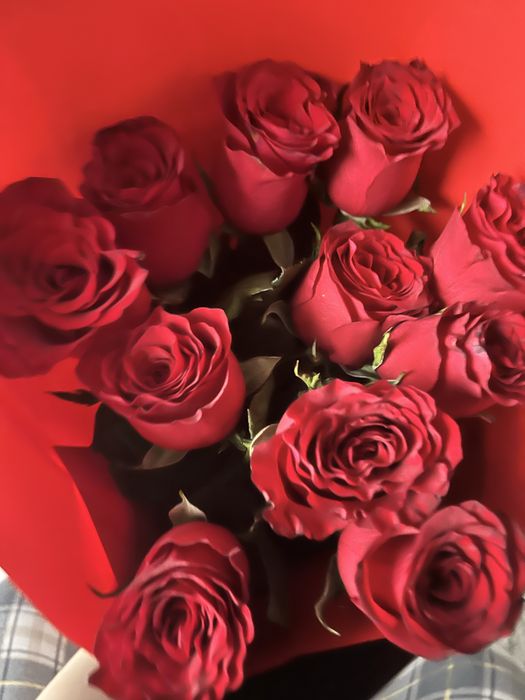 Продам цветы 11 шт