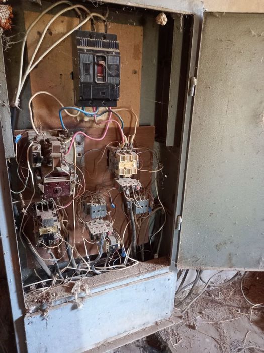 Sholi xoroz sotiladi