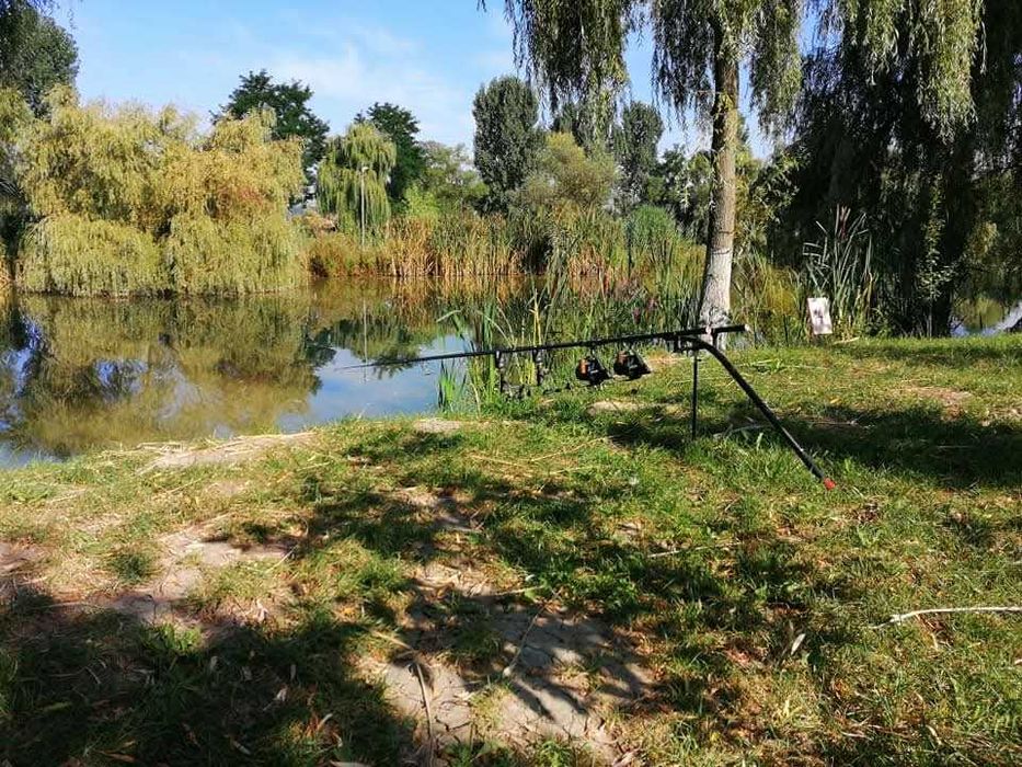Vand balta pescuit jud Sibiu