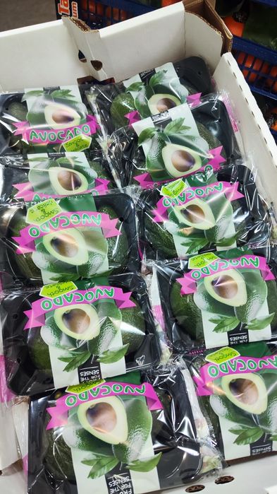 Авокадо Хаас Колумбия