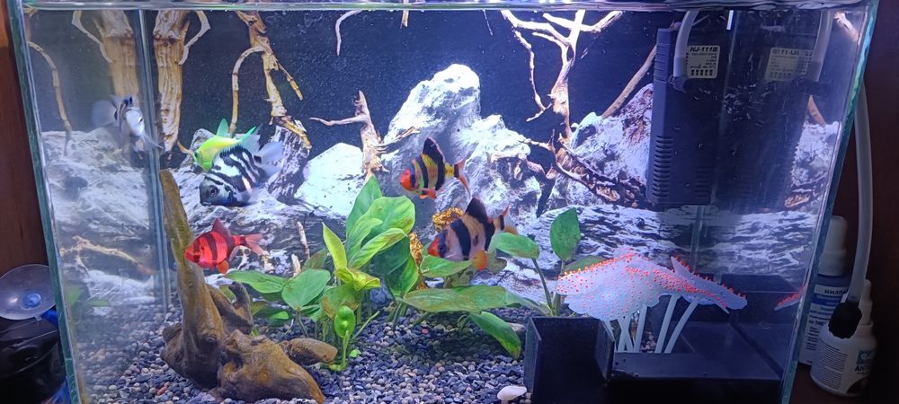 Продам аквариум 15 литров