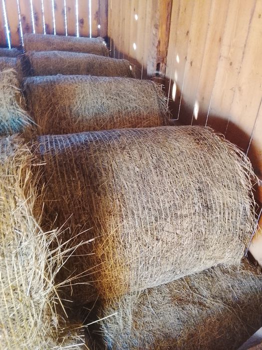 Vând baloții rotunzi de fan calitatea 1