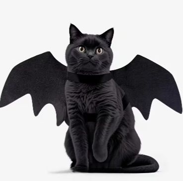 Костюм кошки на Halloween
