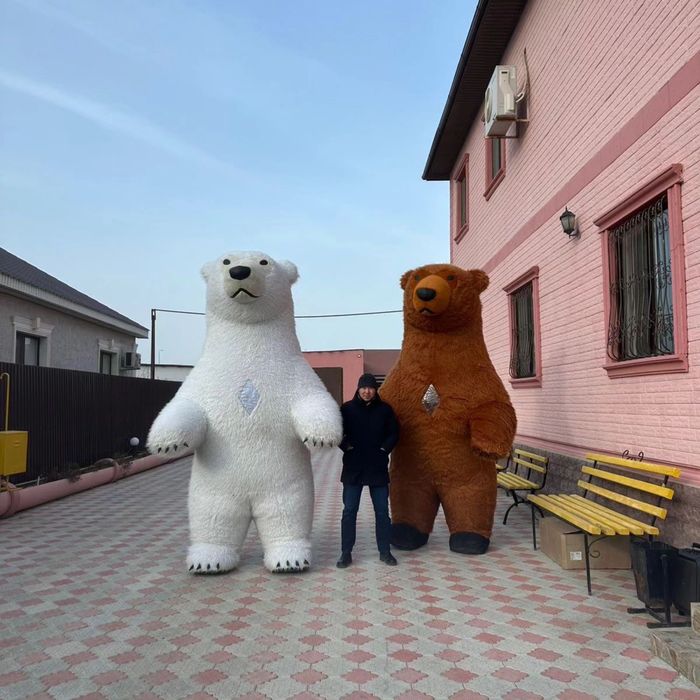 Аниматор/Поздравление с мишками /