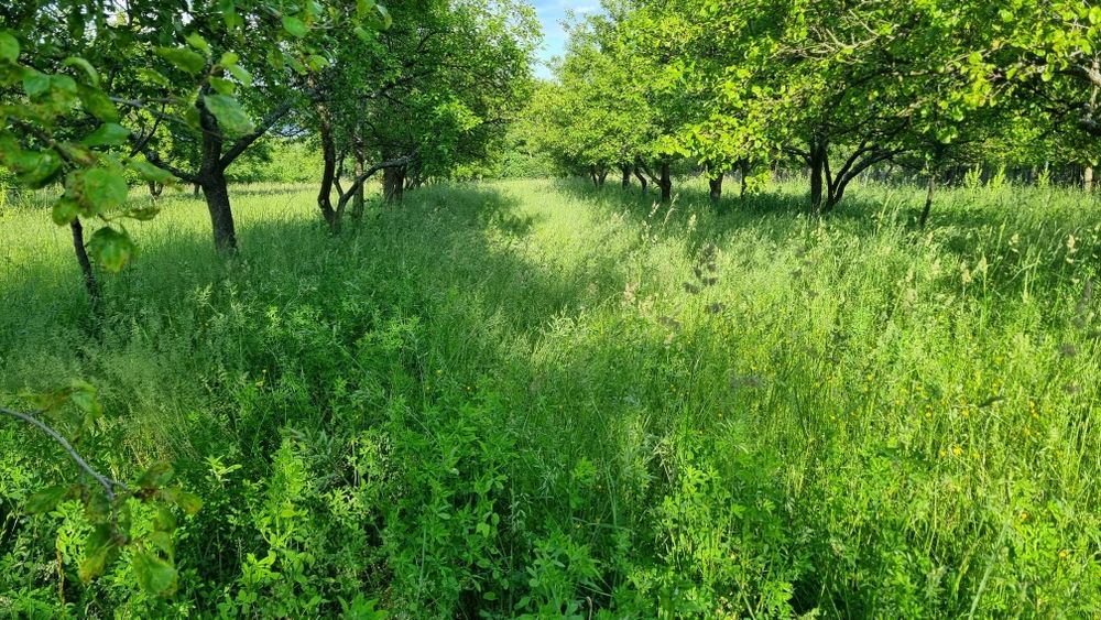 Casă batrânească din cărămidă