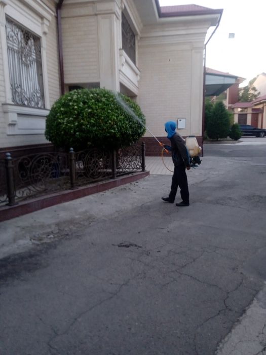 садовник богбон хизмати