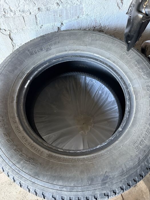 Продам резину Pirelli