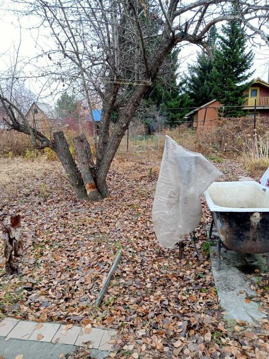 сдам дачу в кооперативе Колос
